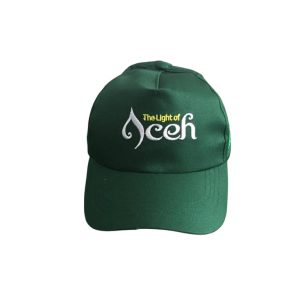 Topi